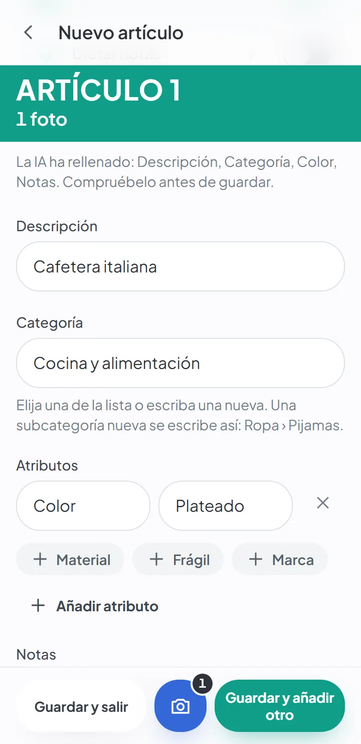 Los campos del artículo rellenados por la IA — la descripción, la categoría y el color.